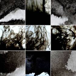 Surachai : Programmed Cell Death